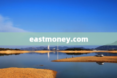 eastmoney.com
