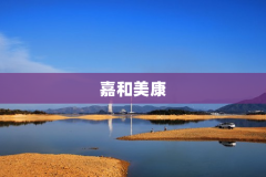 嘉和美康