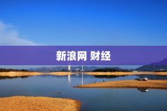 新浪网 财经