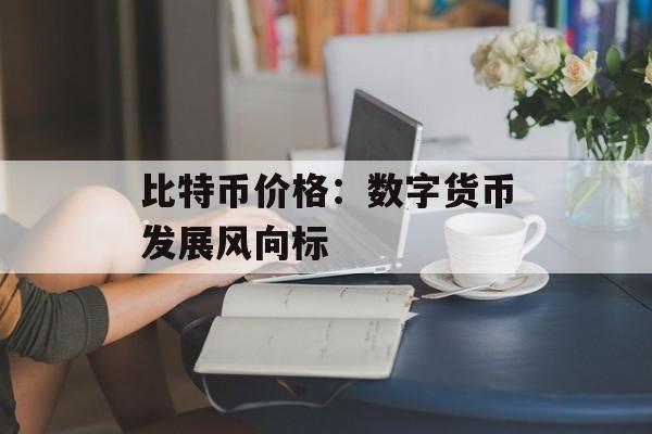 比特币价格：数字货币发展风向标