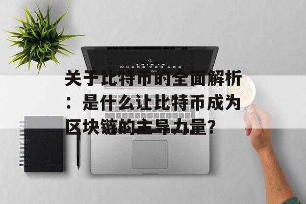 关于比特币的全面解析：是什么让比特币成为区块链的主导力量？