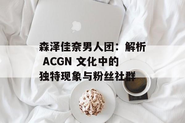 森泽佳奈男人团：解析 ACGN 文化中的独特现象与粉丝社群